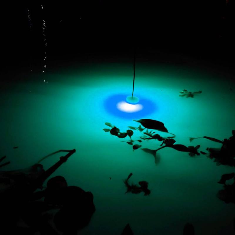 Mini Fishing Attraction Lamp G – Fishing Boat Navigation Light recenzja i cena