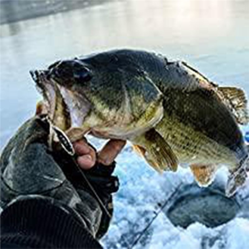 ABUE-Kayak Portable Fish Depth – Fishing Boat Depth Finder recenzja i cena